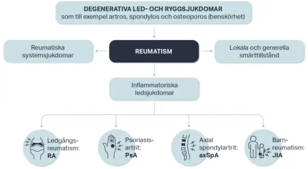 Diagram som visar olika reumatiska sjukdomar, inklusive degenerativa, inflammatoriska och systemiska tillstånd, samt smärttillstånd.