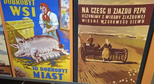Dwa polskie plakaty propagandowe: jeden z prosiakami i kobietą, drugi z rolnikami przy siewie.