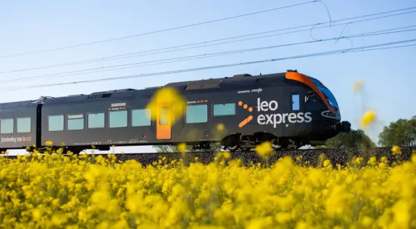 Czarny pociąg express Leo Express mija pole kwitnącego rzepaku.