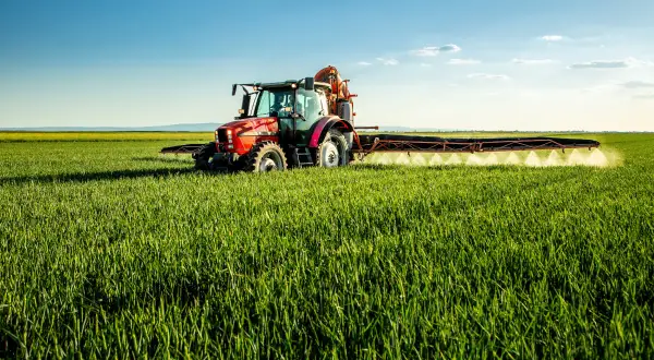 Czerwony traktor wykonuje oprysk na dwuliścienne na zielonym polu pod błękitnym niebem.