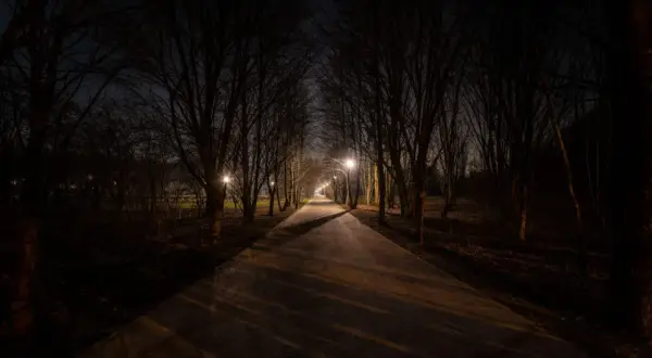Aleja drzew nocą, oświetlona latarniami. Ciemność i długie cienie tworzą atmosferę kurzej ślepoty, jakby światło ledwo przebijało się przez gęstwinę.
