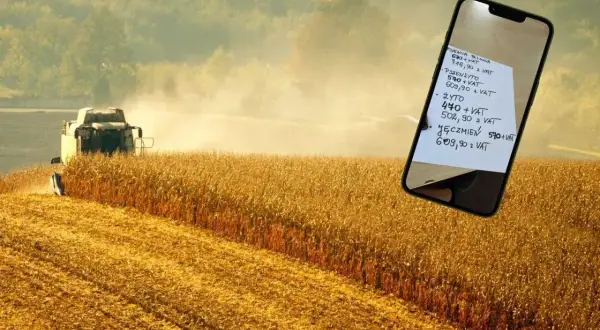 Żniwa pszenżyta w pełni. Na ekranie telefonu widać ceny zbóż, w tym pszenżyta, które są kluczowe dla rolników.