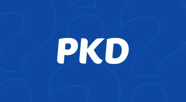 Jak dodać PKD przez internet - uniknij błędów i zrób to łatwo