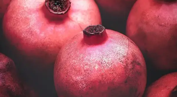 Czy pies może jeść granat? Bezpieczne owoce czy groźne dla zdrowia?