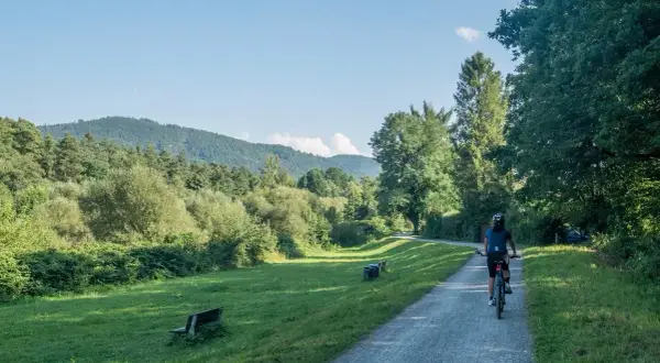 Rowerzystka na trasie rowerowej Ustroń Wisła, otoczonej zielenią i górami.
