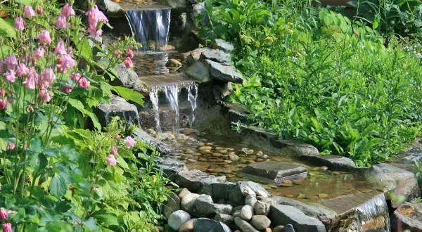 Ein kleiner Wasserfall im Garten, umgeben von grünen Pflanzen und rosa Blüten. Tolle Ideen für einen naturnahen Garten.
