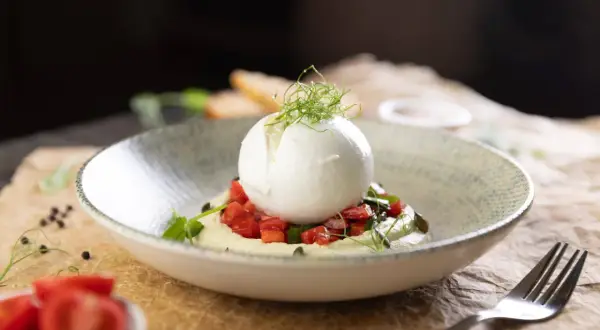 Wykwintna burratina pugliese na kremowym puree z pomidorami i ziołami, udekorowana kiełkami.