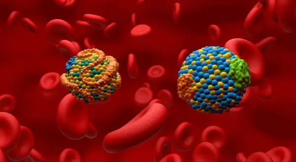 Dwie kolorowe lipoproteiny unoszą się wśród czerwonych krwinek. Dowiedz się, jak obniżyć poziom cholesterolu.
