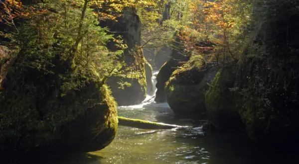 Ein versteckter isny wasserfall, umgeben von moosbewachsenen Felsen und herbstlichem Laub, fließt durch eine schattige Schlucht.