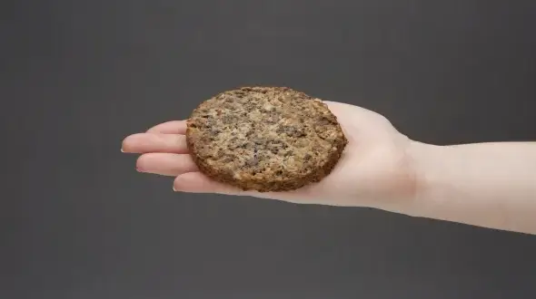 Ile kalorii ma wege burger? Zaskakujące różnice w kaloryczności