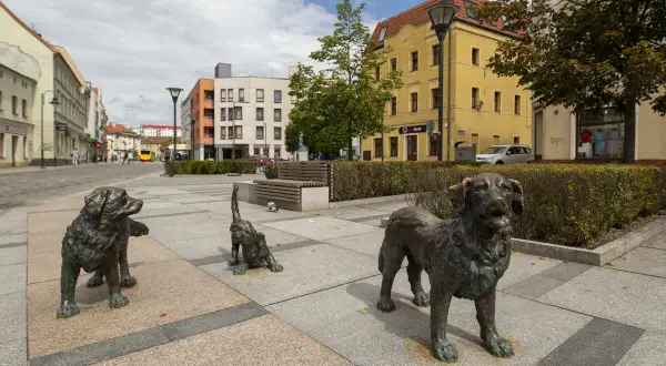 Trzy psie rzeźby na chodniku miejskim. Jeden piesek wita, drugi bawi się, a trzeci stoi dumny.