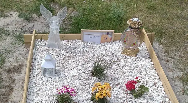 Nagrobek dla zwierzęcia z aniołem, zniczem, zdjęciem psa i kwiatami.