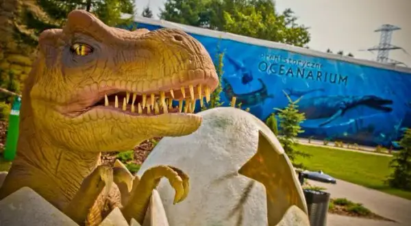 Najlepsze atrakcje w Ochabach: Dream Park i niezapomniane przeżycia