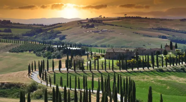 Colline toscane al tramonto, con cipressi che fiancheggiano una strada tortuosa. Un paesaggio da cartolina, un invito a scoprire cosa vedere ad Asciano.