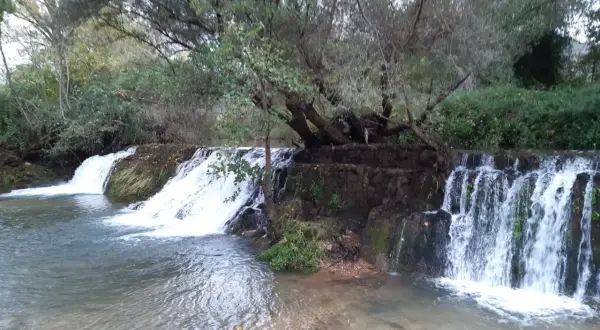 Le cascate della Mola, con la loro acqua cristallina che scende tra rocce e vegetazione, creano uno scenario naturale incantevole.