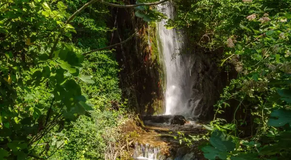 Cascate del Menotre, un'oasi verde dove l'acqua scende tra rocce e vegetazione lussureggiante, creando un paesaggio incantevole.