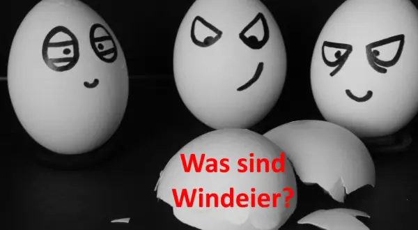 Drei Eier mit Gesichtern, eines davon ein Windei-Huhn, fragt: "Was sind Windeier?".