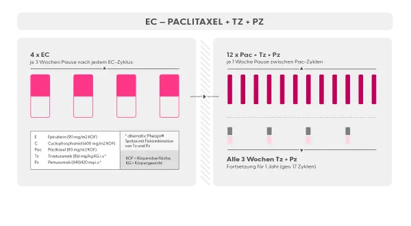 Schema zur Behandlung mit EC, Paclitaxel, Trastuzumab und Pertuzumab. Zeigt neoadjuvante und adjuvante Therapiephasen.