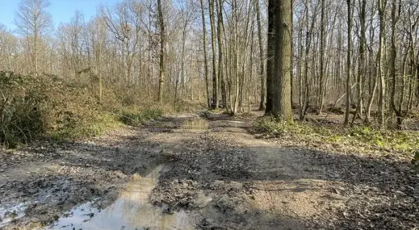 Enduro w Île-de-France: Najlepsze trasy i porady dla motocyklistów