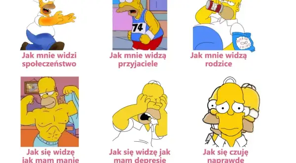Homer Simpson w różnych stanach, ilustrujących choroba dwubiegunowa objawy: od euforii po głęboki smutek.