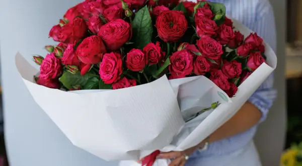 Ogromny bukiet czerwonych róż, w którym trudno policzyć ile kwiatów w bukiecie. Różne odcienie czerwieni i różu tworzą zachwycającą kompozycję.