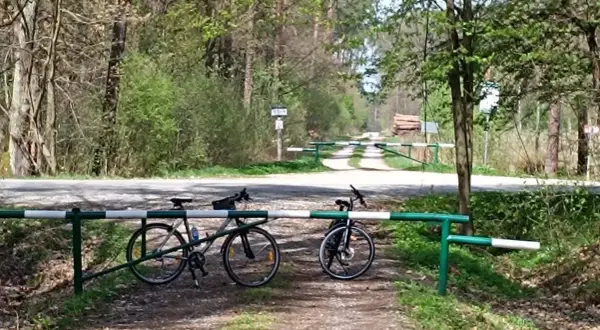 Dwa rowery czekają na odkrycie tras rowerowych Tarnów. Leśna droga zaprasza do przygody.
