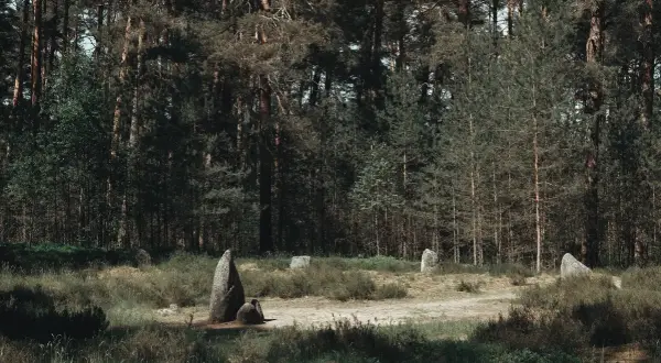 Kamienne kręgi w lesie, tajemniczy szlak kamiennych kręgów, gdzie historia splata się z naturą.
