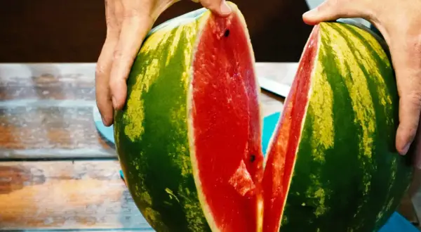 Hände teilen eine saftige Wassermelone. Ist Wassermelone gesund? Ja, sie ist voller Wasser und Vitamine!