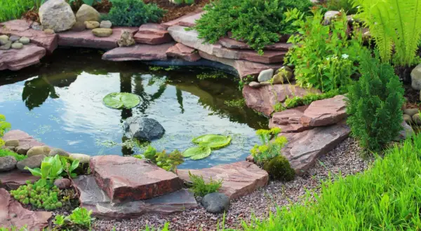 Beautiful backyard pond ideas with layered red rocks, lush greenery, and water lilies.