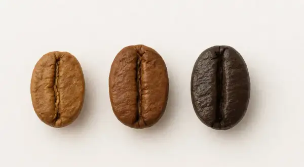 Tre kaffebönor visar olika rostningsgrader, från ljus till mörk. En visuell guide till kaffe sorter.