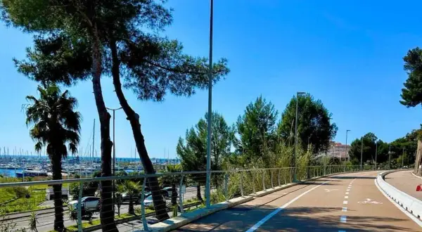 La ciclabile di Imperia, con palme e pini, si snoda verso il porto turistico. Un percorso ideale per godersi il mare e la natura.