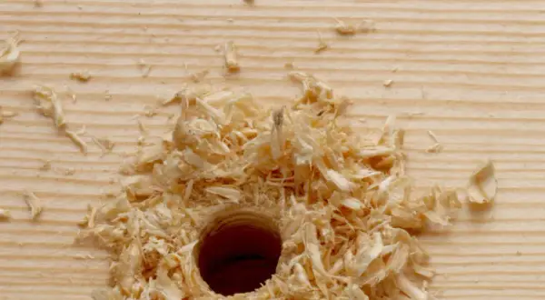 Sciure de bois autour d'un trou fraîchement percé dans une planche de pin. Il faudra reboucher ce trou bois pour repercer ailleurs.