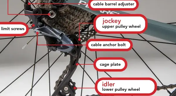 Szczegółowy widok przerzutki w rowerze: wózek z kółkami (jockey i idler), śruby regulacyjne, mocowanie linki.