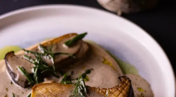 Ciechanowiec gdzie zjeść - najlepsze restauracje i kuchnie w mieście