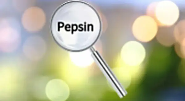 Lupa powiększa napis "Pepsyna". Co to jest pepsyna? To enzym trawienny.
