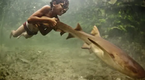 Un bambino del popolo Bajau, con occhiali da sub, nuota sorridendo accanto a uno squalo.