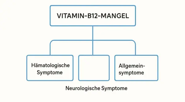 Diagram toont symptomen van vitamine B12-tekort: hematologische, algemene en neurologische. Dit vitamine B12-tekort wordt vaak onderschat.