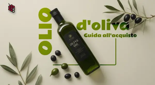 Bottiglia di olio evo con olive e rami d'ulivo. Guida all'acquisto.