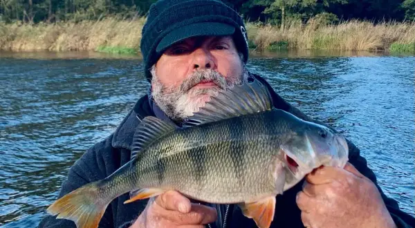 Ein Angler hält stolz einen schönen Barsch in den Händen. Das Wasser des Barther Bodden glitzert im Hintergrund.