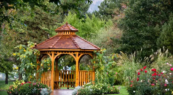 A beautiful wooden gazebo, surrounded by sunflowers and roses, offers a peaceful retreat. Imagine how to build a gazebo like this for your own garden.