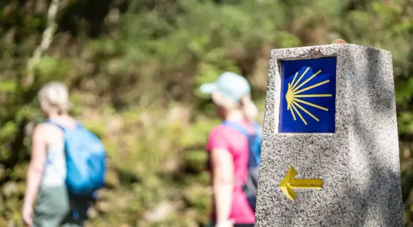 Pilgrimer på Santiago de Compostela vandring följer den ikoniska snäckan.