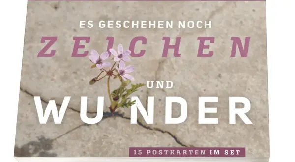 Ein zartes Blümchen bricht durch Beton. "Es geschehen noch Zeichen und Wunder", steht darauf. 15 Postkarten im Set.