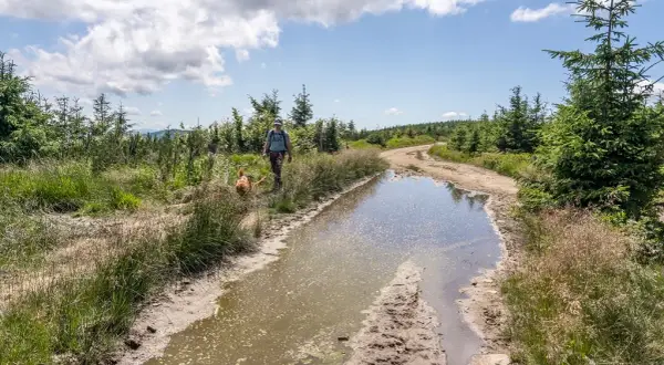 Beskid Śląski atrakcje – odkryj najciekawsze miejsca i przygody