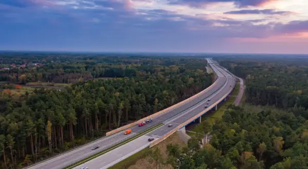 Czy na autostradzie można stracić prawo jazdy? Sprawdź, co grozi kierowcom