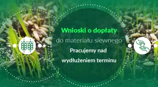Wnioski o dopłaty do materiału siewnego. Pracujemy nad wydłużeniem terminu. Wschodzące ziarna symbolizują przyszłe plony.
