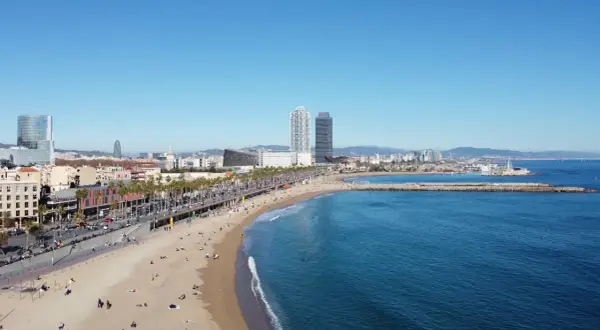 Słoneczna plaża Barceloneta z turkusową wodą, palmami i nowoczesnymi budynkami w tle.