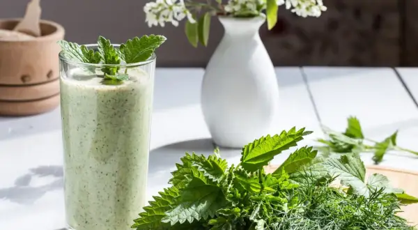 Zielony koktajl z pokrzywy, ozdobiony miętą, obok świeżych ziół na desce. Pesto z pokrzywy w szklance.