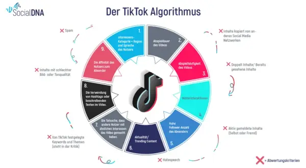 Der TikTok-Algorithmus erklärt, was Social Media ist: Interessen, Wiedergabezeit, Interaktionen und mehr bestimmen die Sichtbarkeit.