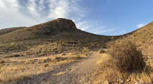 Sendero pedregoso asciende hacia una colina árida bajo un cielo azul con nubes tenues. A la derecha, un arbusto seco y espinoso se alza cerca del camino, evocando la dureza del paisaje, quizás cerca del **cráter del hoyazo**.