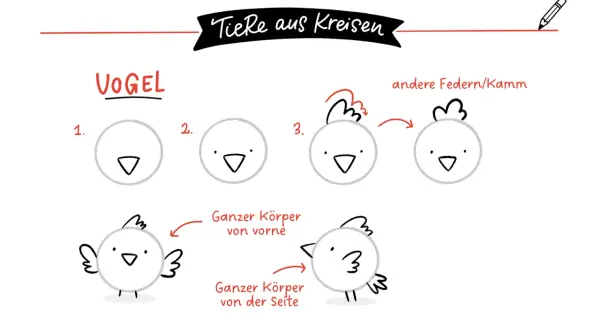Schritt-für-Schritt-Anleitung zum Zeichnen eines Vogels aus Kreisen.